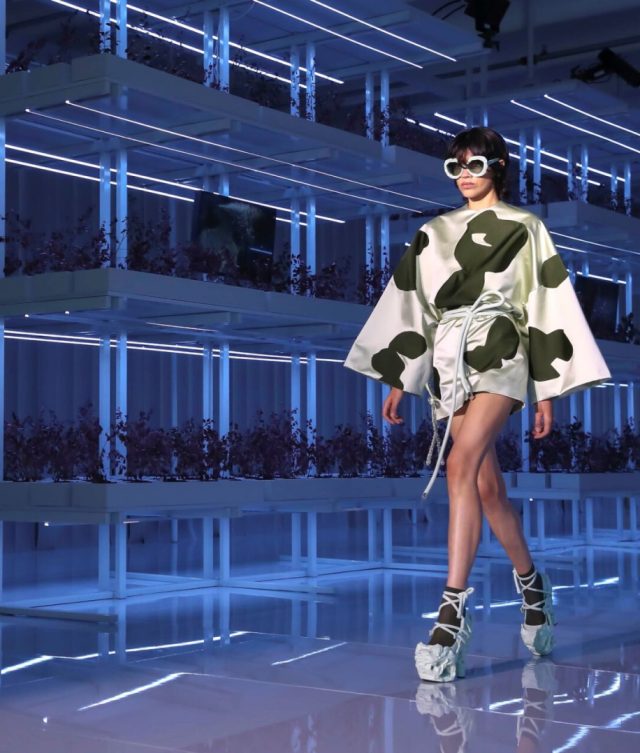 Face & Place | Events