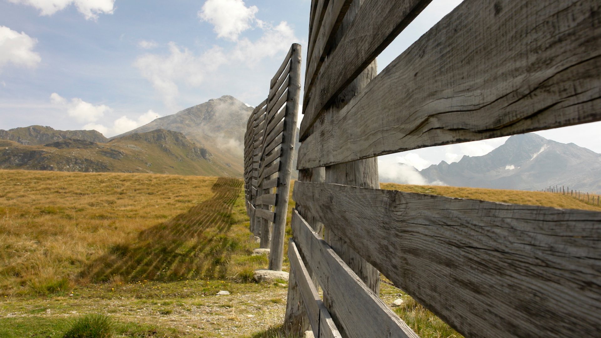 Face & Place | Locations