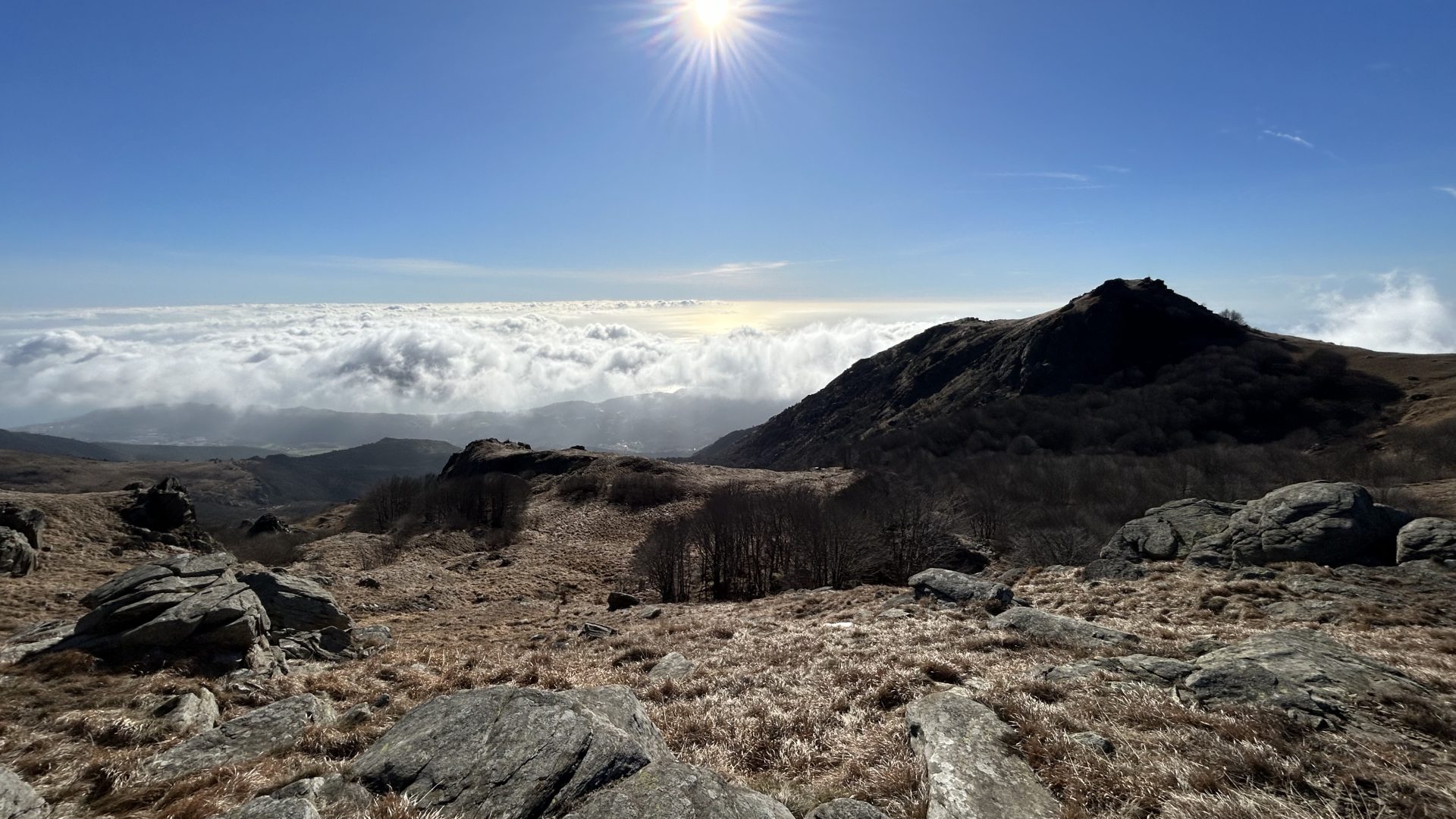 Face & Place | Locations