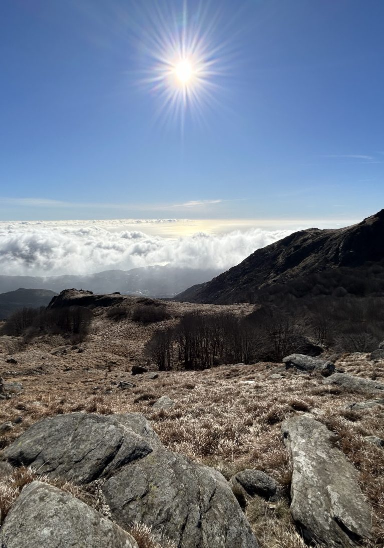 Face & Place | Locations